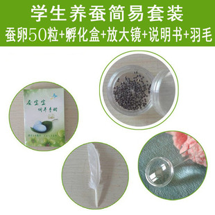50���Q�����Q���Q�Ӽ��Q�����b�Q��������Q�N�WУ�ƌW�n���꼉
