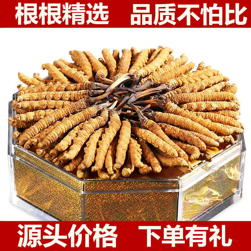 特产2025年野生虫草新鲜头期礼盒非鲜草西藏那曲青海玉树