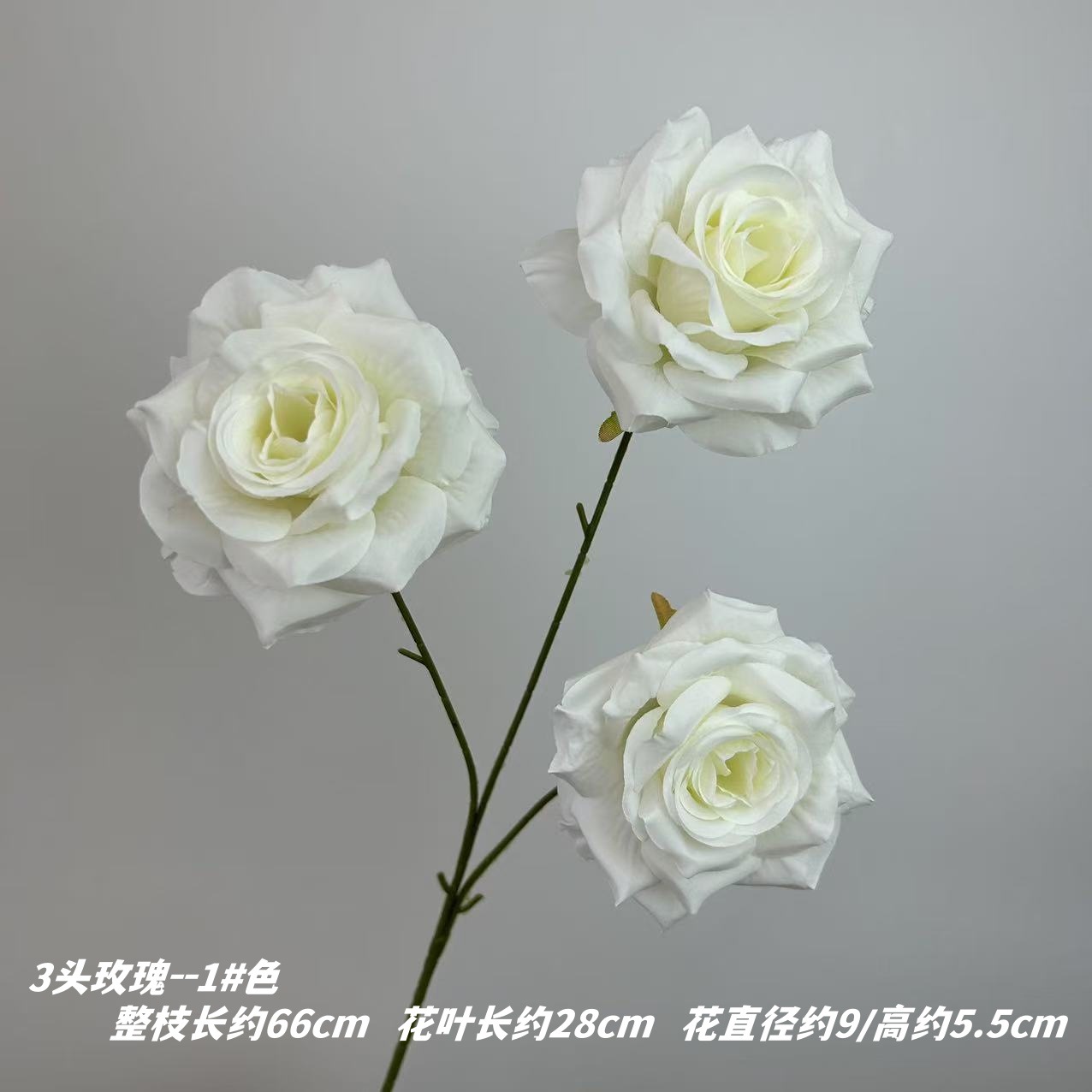 1 # 색상