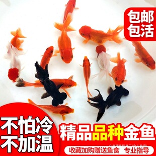 ���~�^�p�~���~���B�ͻ�С���~�m�۵�β�Q피t���{�\���t���~��