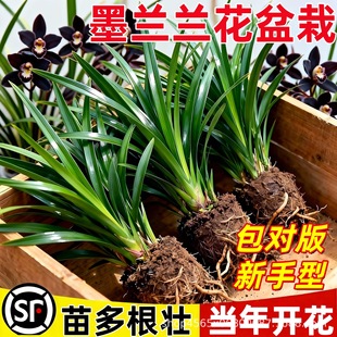 ī�m�m�����������Ѯ����_���������҃ȾGֲ�����ļ����F��Ʒ��