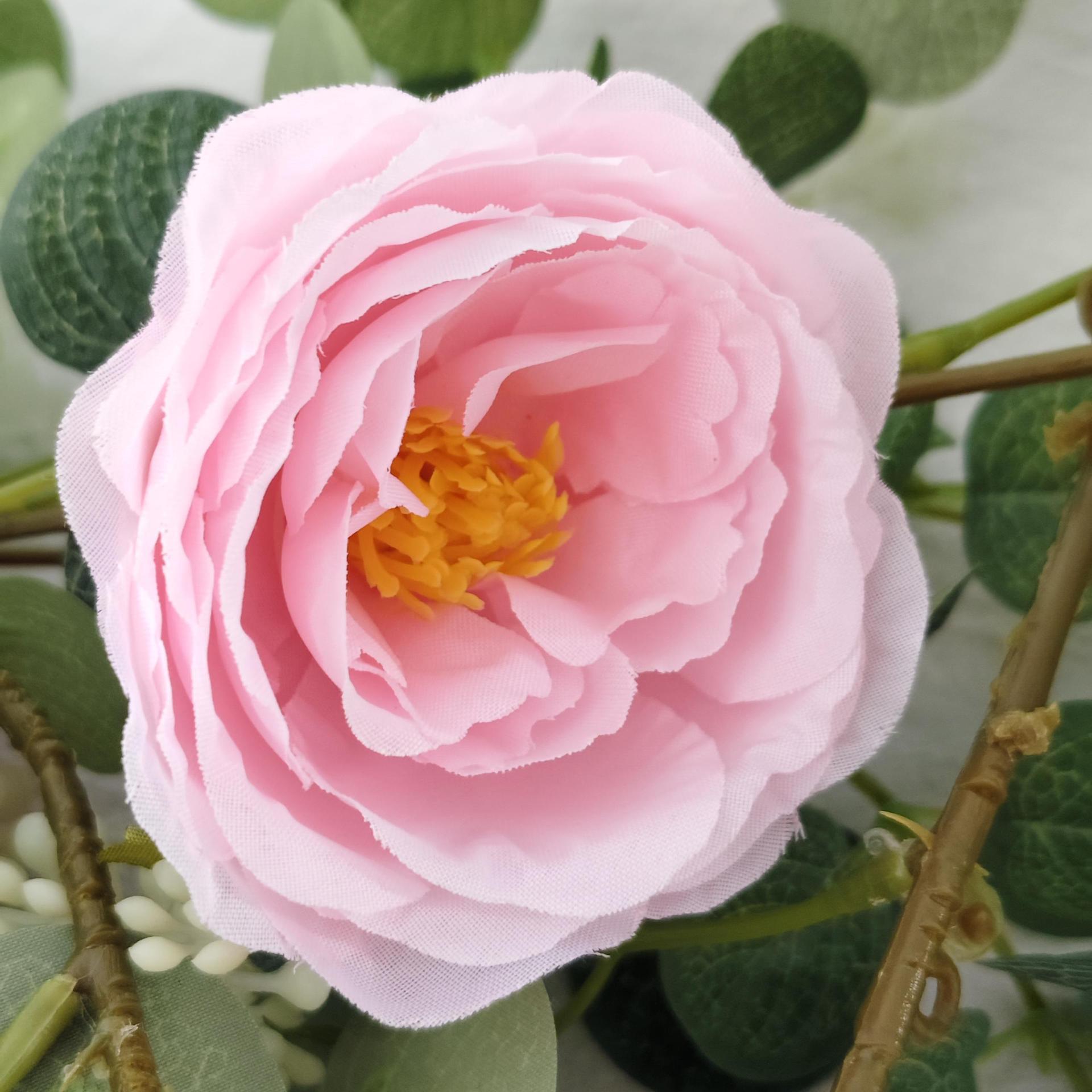 Amazonas imitación de vid yucarí vid