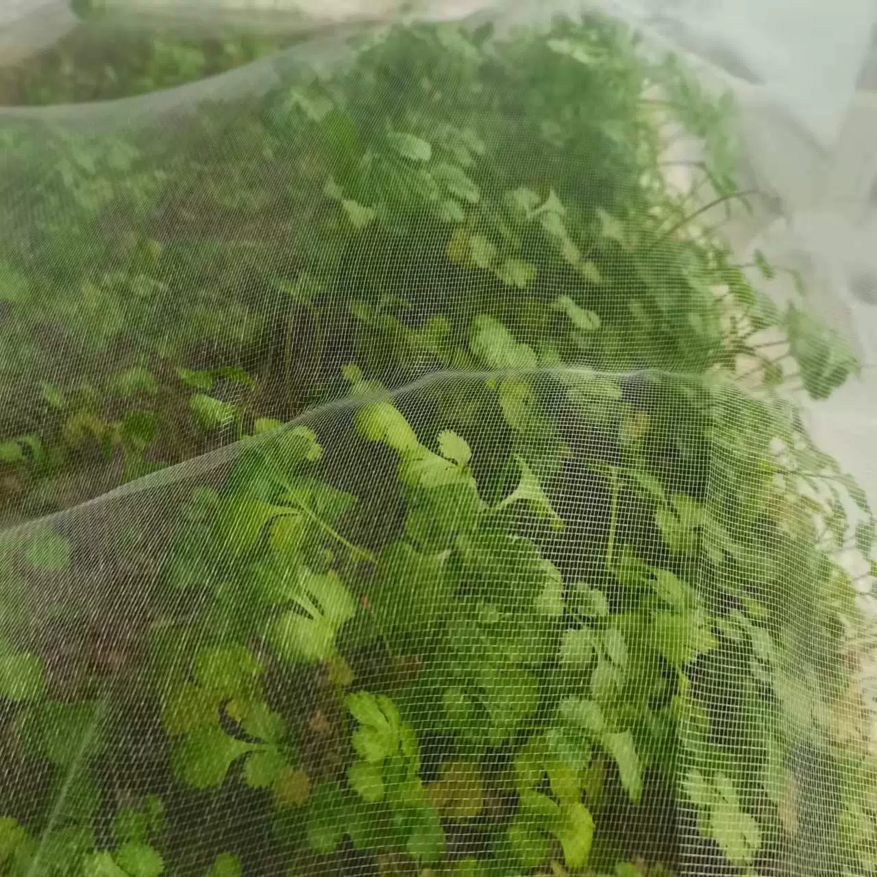 Овощной фруктовый сад сетчатый сетчатый чехол 14-100 меш аквакультуры забор утолщенный сетчатый теплица