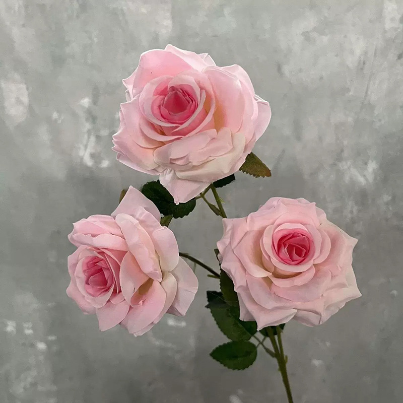 3헤드 다이아몬드 로즈 그라데이션 핑크