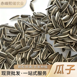 豆类;麦类;面粉