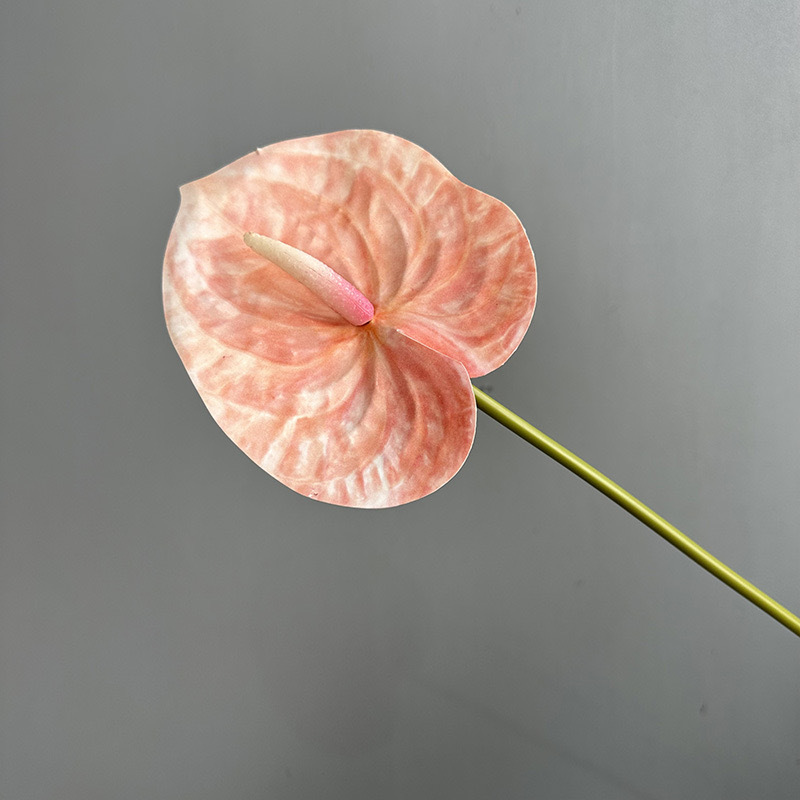 3D 플라밍고 팜-샴페인 핑크