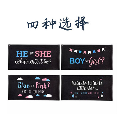 Amazon gender reveal balloon bag boy or girl