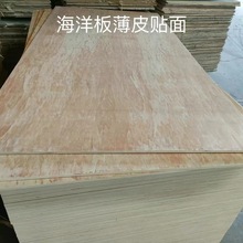 厂家直售 高级海洋板贴面 可定水曲柳饰面胶 多层贴面胶合板