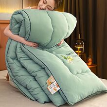 大豆纤维被加厚保暖棉被四季通用冬被学生宿舍秋冬被子单双人被芯