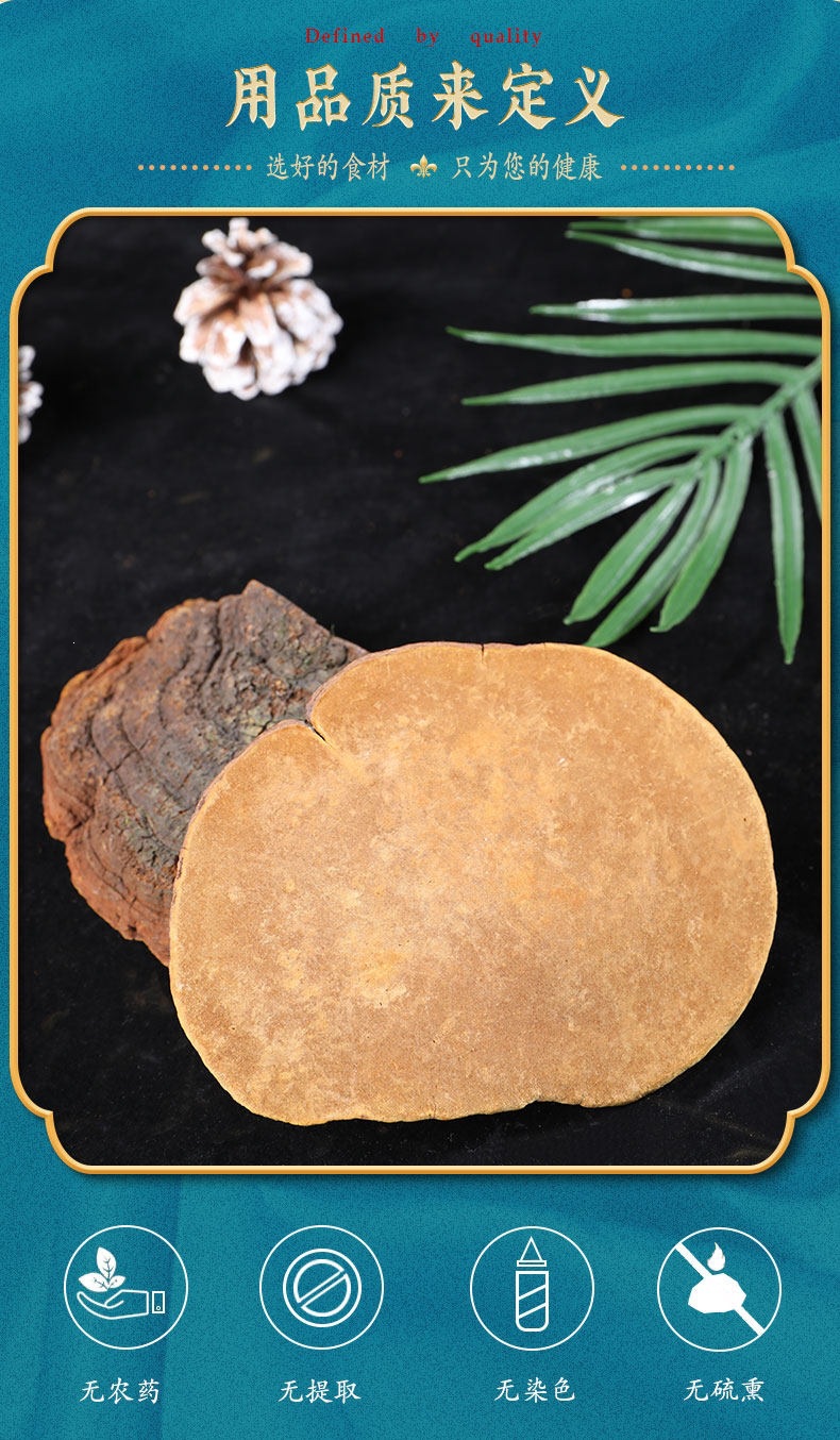 Sang Huang Mulberry Yellow Phellinus Mushroom with Ling Zhi Slices Herbal Tea Set 125g Plus 40g Jars key features