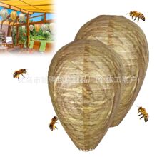 Wasp Nest DecoyQ S\䳲\\ˮ\I\