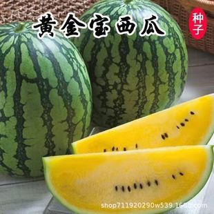 �����S�������ϷN�ӾGƤ�Sȿ�S�ĶYƷ���ϷN���ļ���ͥԺ�߹��N��