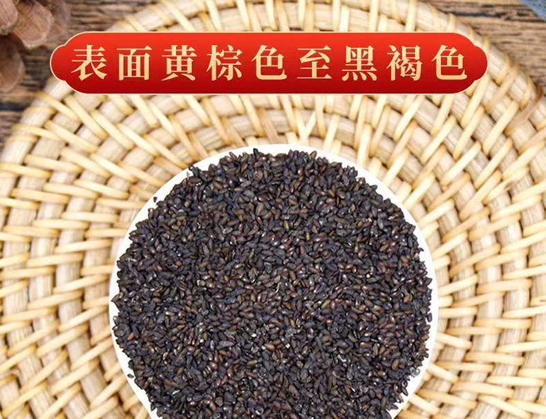 Plantain Seed Che Qian Zi Dried Herb 100g Jar for Decoction and Tea in use