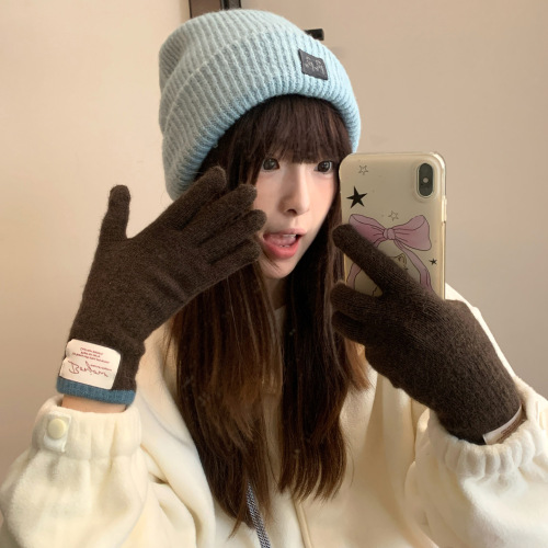 Touchscreen Color-blocked Knitted Gloves for Women - New Fall/Winter Style, Warm and Windproof, Riding and Outdoor Split-Finger Gloves - Trendy
