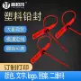一次性铅封记号编码扎带