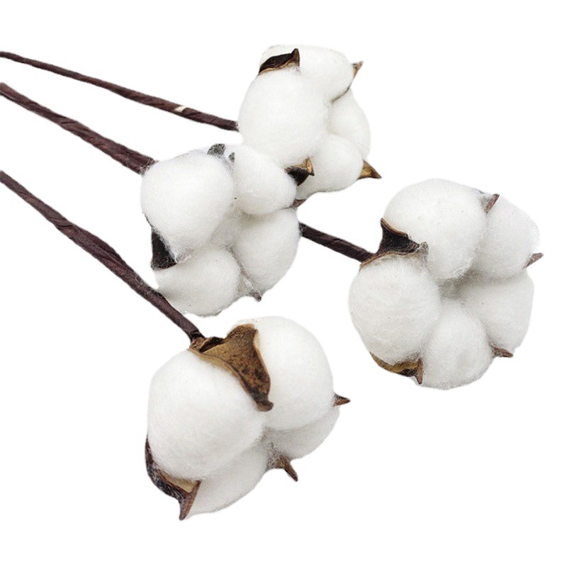 Cabeza de algodón artificial flor seca natural hecho a mano vintage estilo rústico arreglo floral guirnalda ramo accesorios de tiro