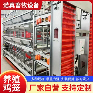 全自动大层叠蛋鸡笼小层叠自动化养殖设备捡蛋鸡清粪机笼养系统