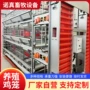 自动化笼养养殖自动清粪机