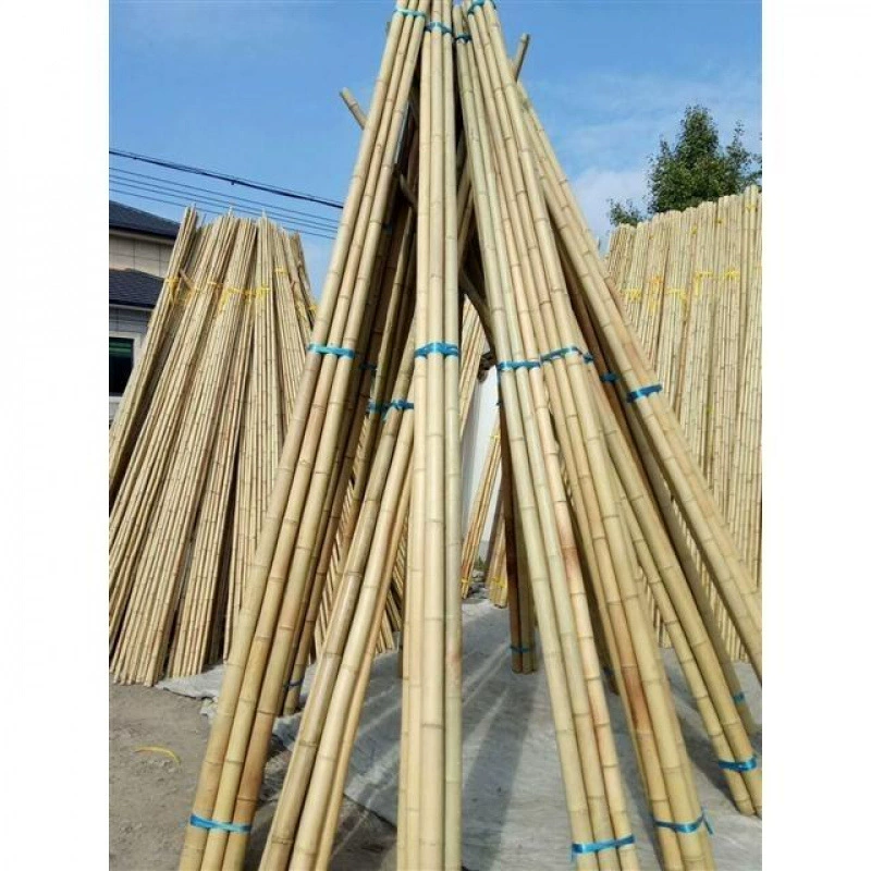Бамбуковые шесты для садовой решетки, лазающая решетка для бобов и огурцов, садовый забор, флагшток, бамбуковые шесты для поддержки вьющихся фруктов и овощей.