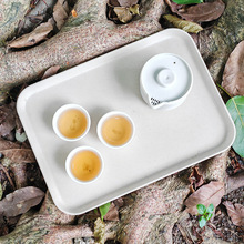 旅行茶具套裝便攜式戶外茶壺跨境懶人泡茶圍爐煮茶功夫茶加厚塑料