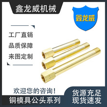 ԮaNģsˮPT1/8Lyˮͨˮ