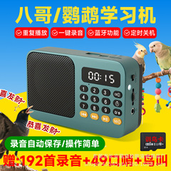鹦鹉学说话神器教鸟学习机八哥玄凤和尚录音机鸟用复读机解闷玩具