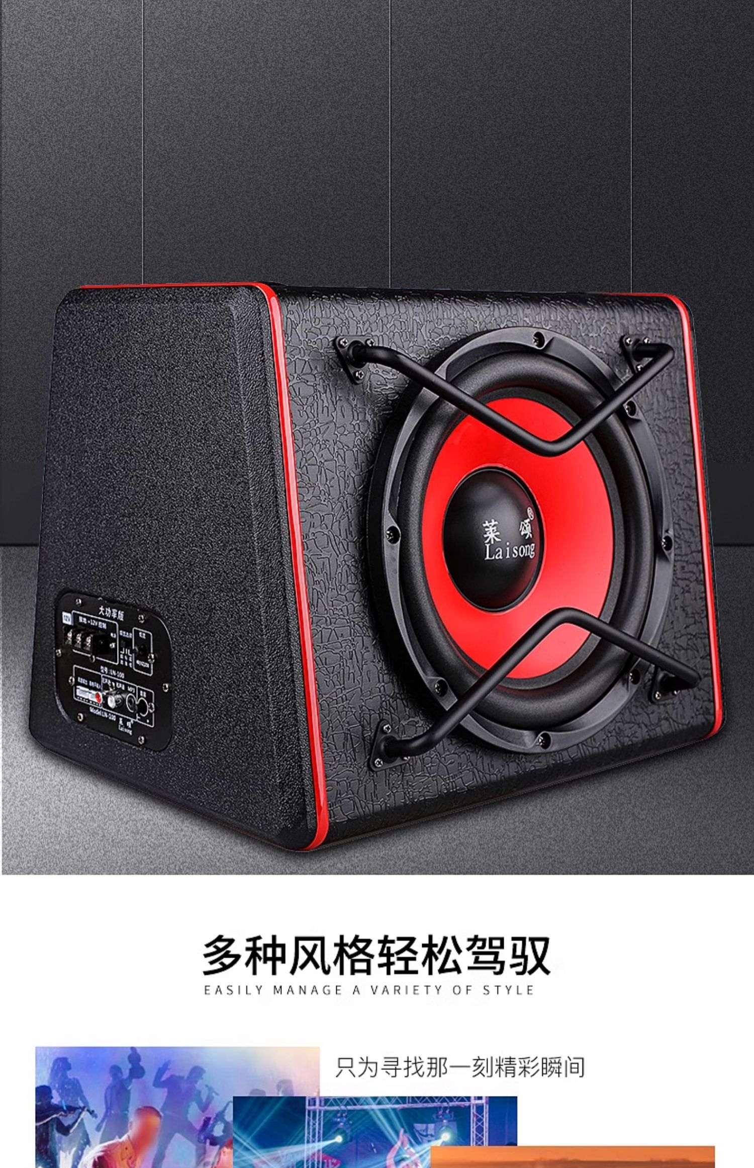 Car Subwoofer 10/12 Inch 12V/24V High Power Car Audio