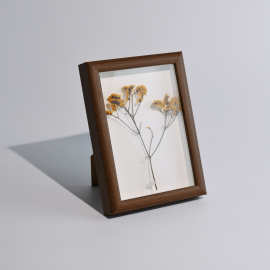 中空立体干花相框木框6寸相框植物蝴蝶标本展示框相框摆件高级感