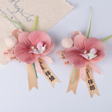 ?�����mȫ�׸�ĸ�󻨑����Y���������ػ����������̄Օ��h�c