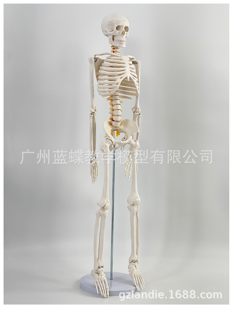 详情1 (2)