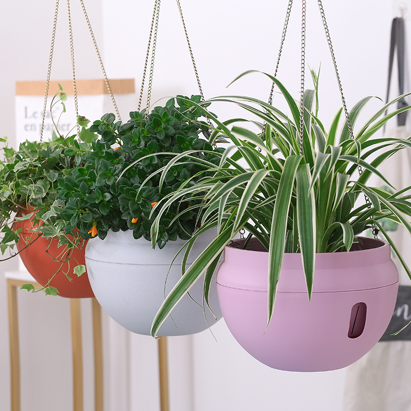 垂吊藤挂塑料吊籃花盆常青藤吊蘭盆懸挂壁挂式綠蘿盆栽彩色大花盆