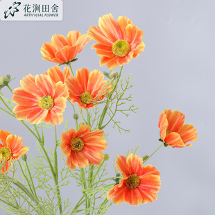 ���滨 ��˹�� �Wʽ��ɣ���Ҿӿ͏d�b��̻�c�[���ٻ�Ұ�ջ�