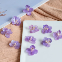 超级美真花蝴蝶兰DIY耳环手链材料干花手工制作配件