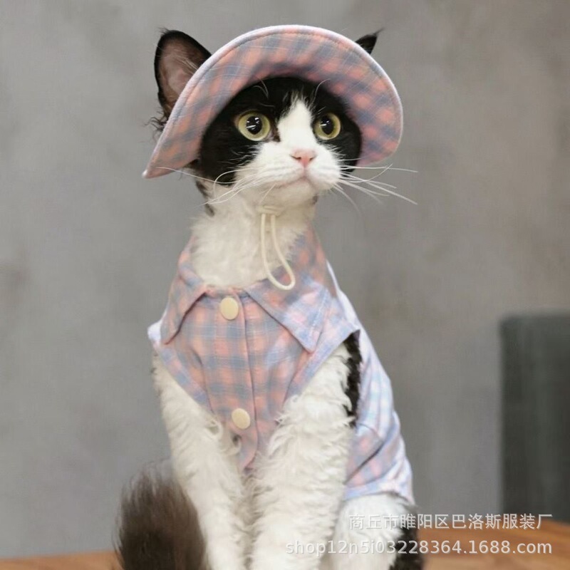 Pet Cat Pure Cotton Plaid Shirt Set, Bib, Fisherman's Hat Three-Piece Set, German Hairless Cat Wholesale and Retail