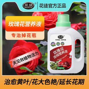 Concentrated Nutrient Solution for Rose Household Green Leaf Plant Pot Flower Anti-yellow Leaf Universal genuine goods Fertilizer