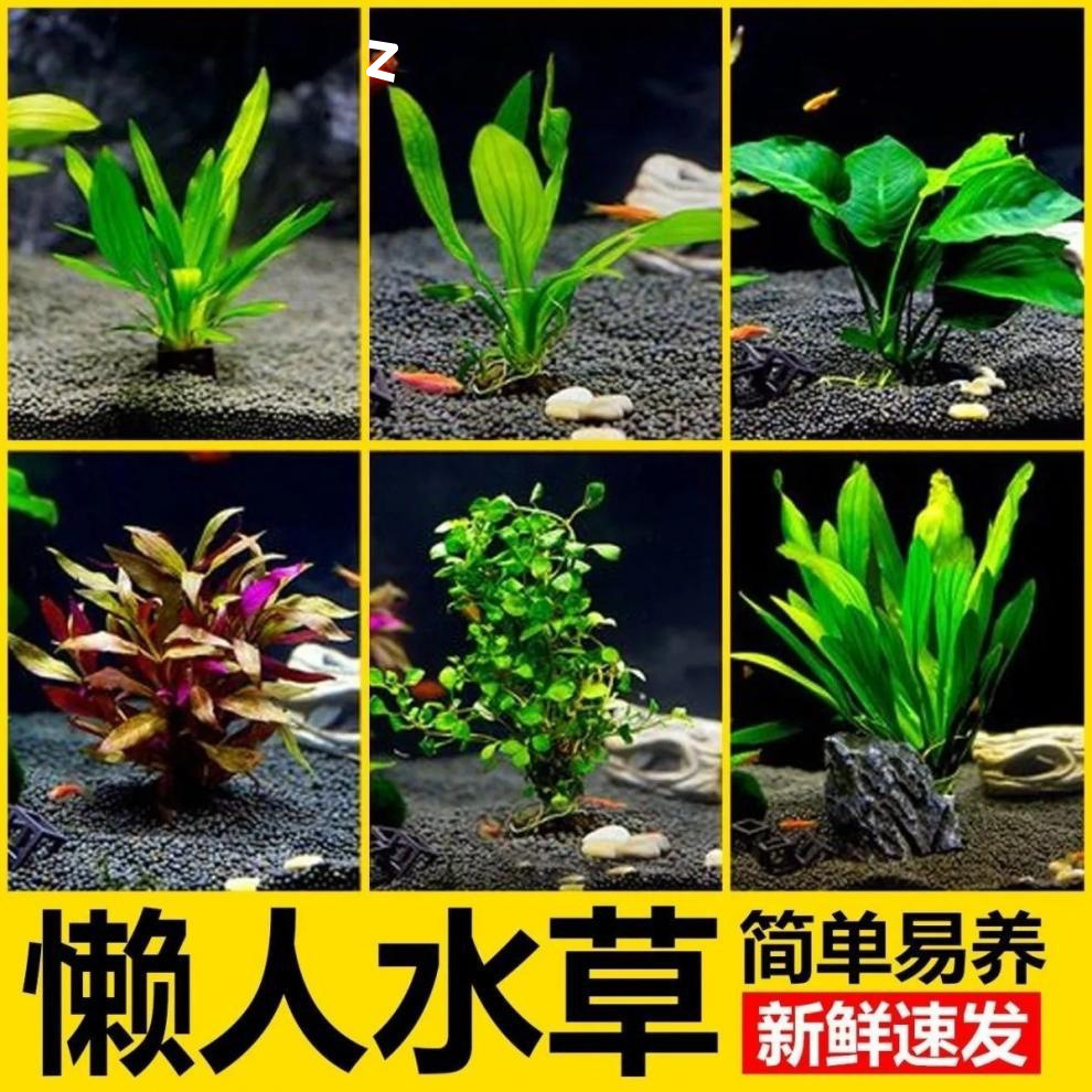 3676f377-2d0d-4d21-8f69-c71aa6602c20.jpe