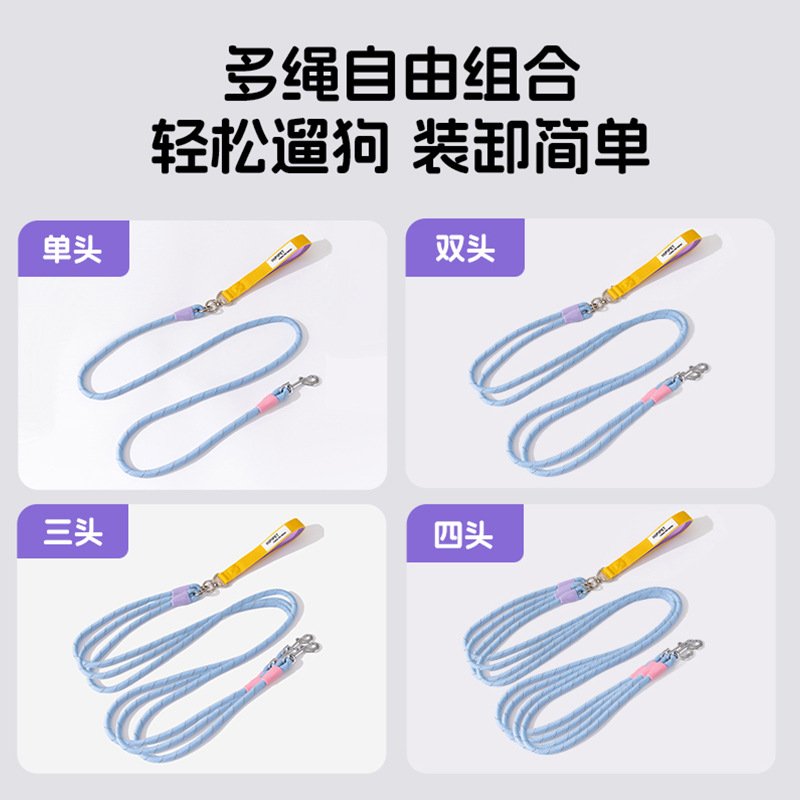 Los perros salen, perros pequeños y medianos, contraste de moda, uno arrastra tres, cuerda de tracción, muchos perros paseando a su perro, cuerda para perros, suministros para perros