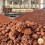 多孔种植直发建筑火山石