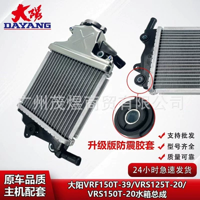 Suitable for Motorcycle Dayang Vrf150T-39Vrs125T-20/ Vrs150T-20 Water Tank Assembly Radiator