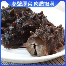 正宗大连淡干辽参国标冷水速发海参非即食礼盒装送泡发瓶