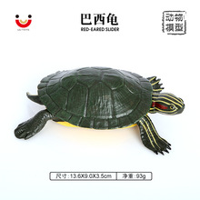 海洋生物 巴西龟 仿真海洋动物模型 海底总动员玩具海底生物塑胶