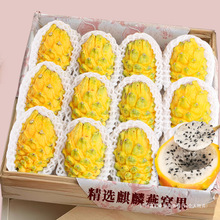 ����������C�����r�������@�Fժ�SƤ���Ļ������Ꭷ�aˮ���F�l