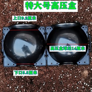 ֲ��߉��޽Ӻи߉���ֳ������ֲ���������B��Ǥ������������ֳ��