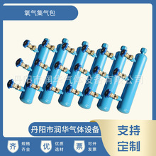 氧气集气包 氮气氩气天然气空气丙烷二氧化碳分气包 厂家批发