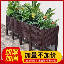 架高加深阳台蔬菜种植箱种菜盆塑料花盆加厚带腿长方形花箱热卖