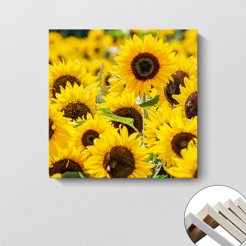 Pintura decorativa coreana girasol Sala de estar moderna y simple flores de sol colgando pintura mural del dormitorio del restaurante pintura cuadrada sin marco