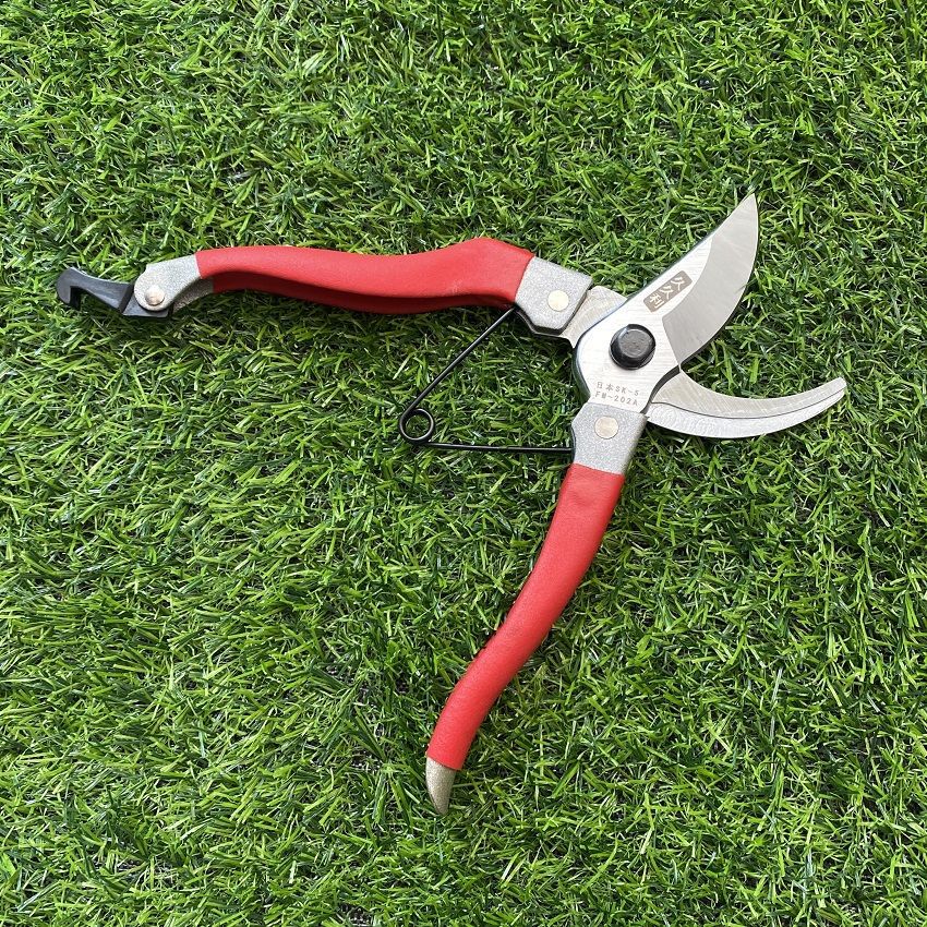 55411052-2944-486f-b30a-535d96