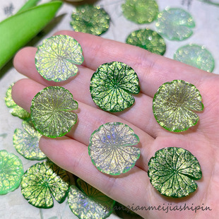 ֱ������Gɫϵ�_�ں��~��֬����ֹ�diy���L�l���l�A�֙C��ز�