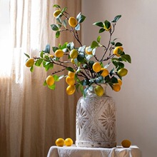 ins�L����Gֲ���ʹ�֦�͏d���������ٻ�ˮ����ˇ��֦�b[��