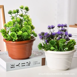 花盆容器;花盆装饰;陶瓷工艺品